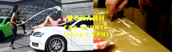 гашик Новокубанск