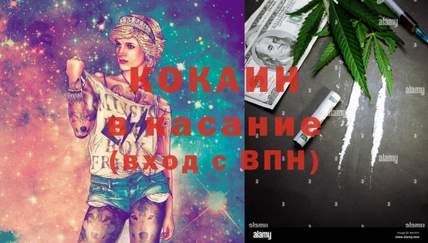 гашик Новокубанск