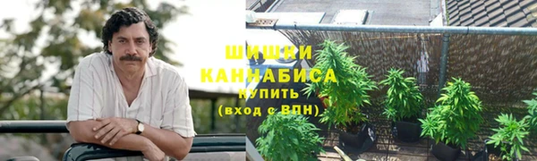 гашик Новокубанск