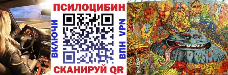 кракен зеркало  Касли  Галлюциногенные грибы MAGIC MUSHROOMS 